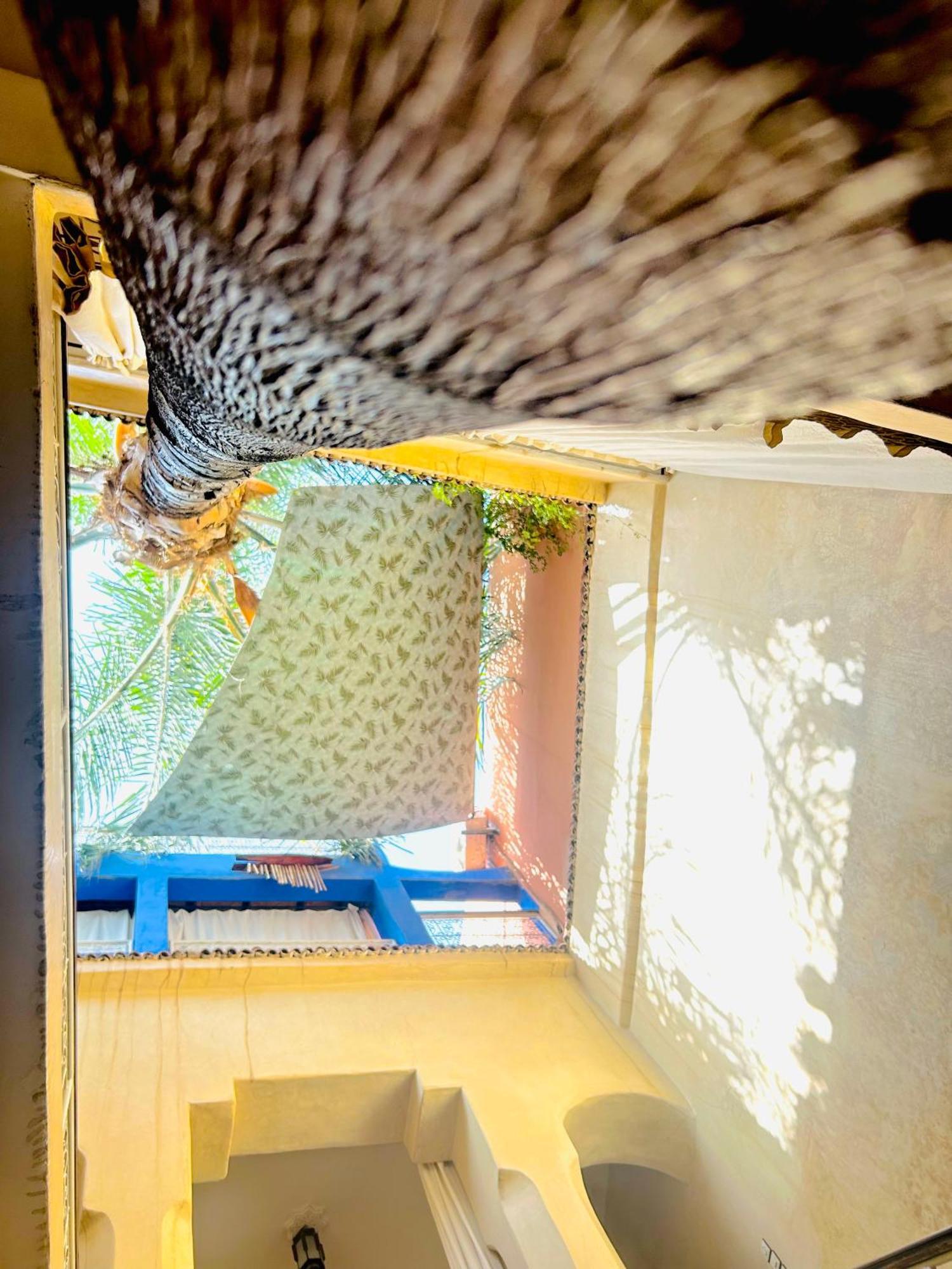 Riad Alamine Марракеш Экстерьер фото