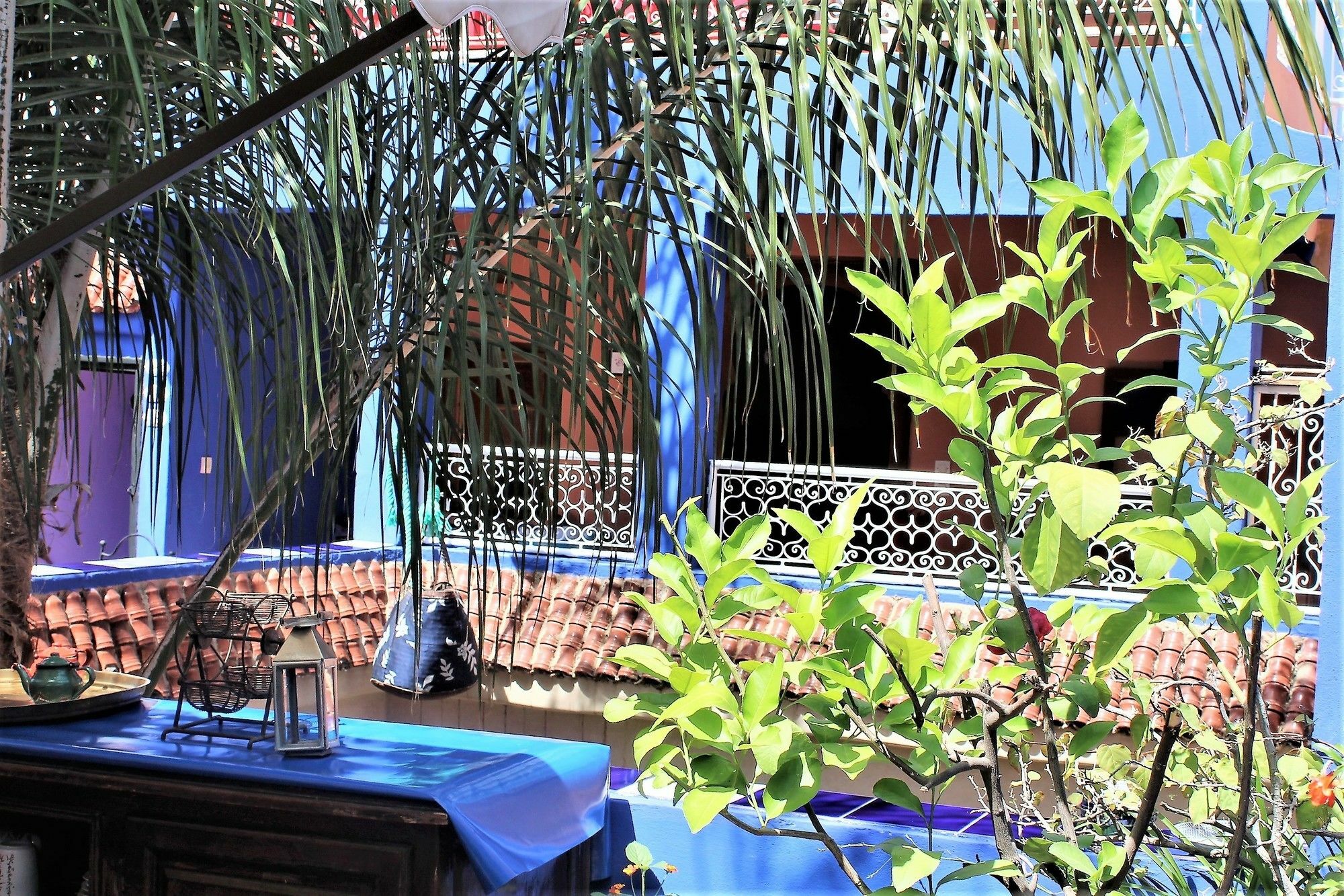 Riad Alamine Марракеш Экстерьер фото